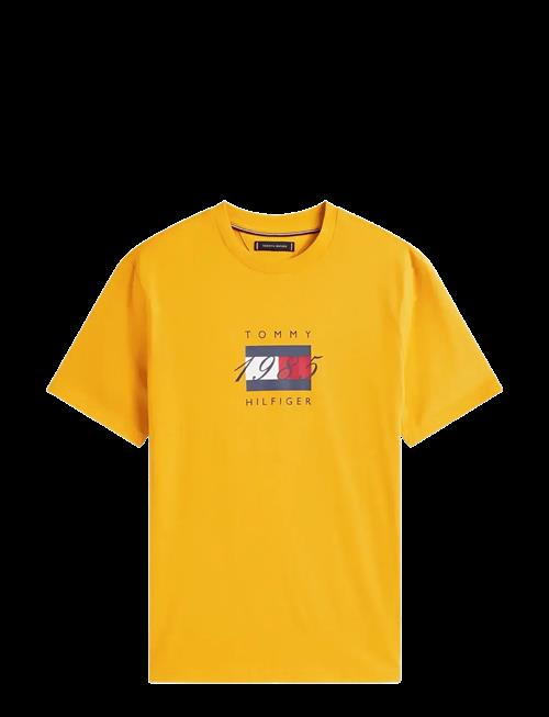 Tommy Hilfiger | Linear Flag Graphic Tee | S