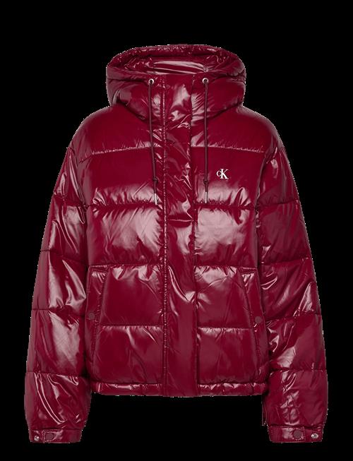Calvin Klein Jeans | Shine Puffer Jacket | XXS