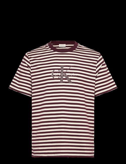 Calvin Klein Jeans | Ss 20S Stripe Jersey Monologo Cn | L