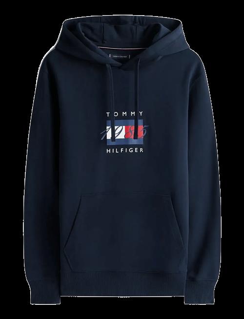 Tommy Hilfiger | Linear Flag Graphic Hoodie | L
