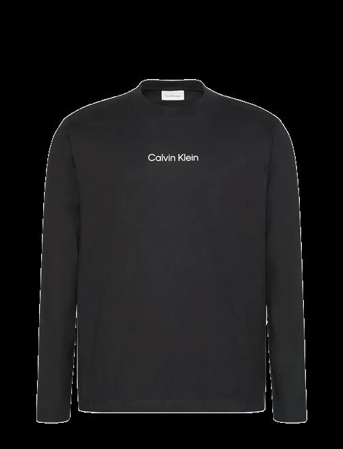 Calvin Klein | Ls Rlxd Standard Logo Crewnk Tee | M