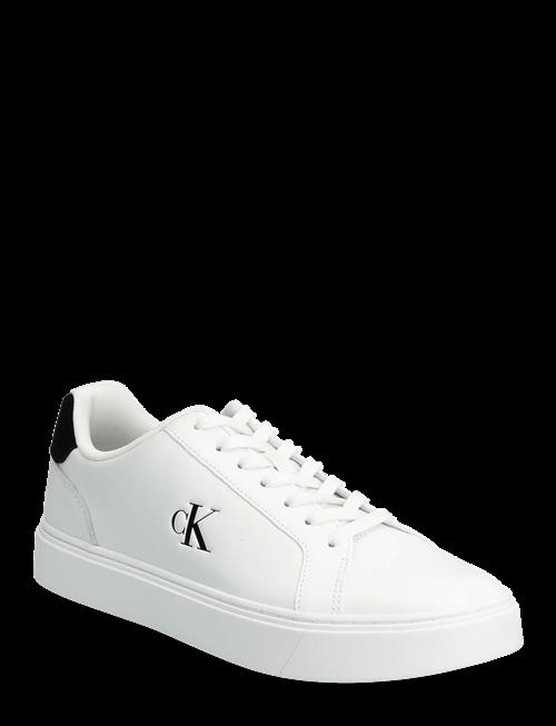 Calvin Klein | Classic Cupsole Laceup Lth | 41