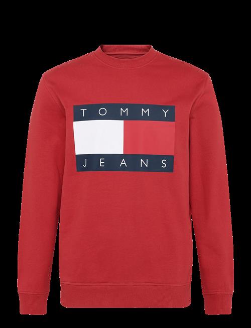 Tommy Jeans | Tjm Reg Big Flag Cneck | M