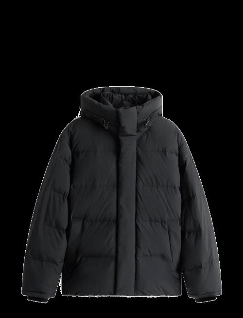 Tommy Jeans | Tjm Hooded Down Puffer | M