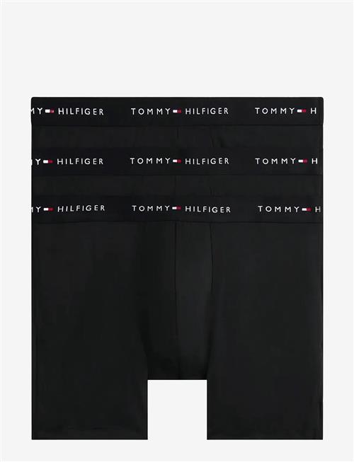 Tommy Hilfiger | 3P Boxer Brief Dtm | L