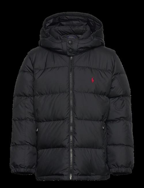 Ralph Lauren Kids | Ripstop Down Hooded Jacket | 88-93