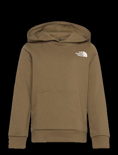 The North Face | Teen Simple Dome Light Reg Hoodie | 115-119