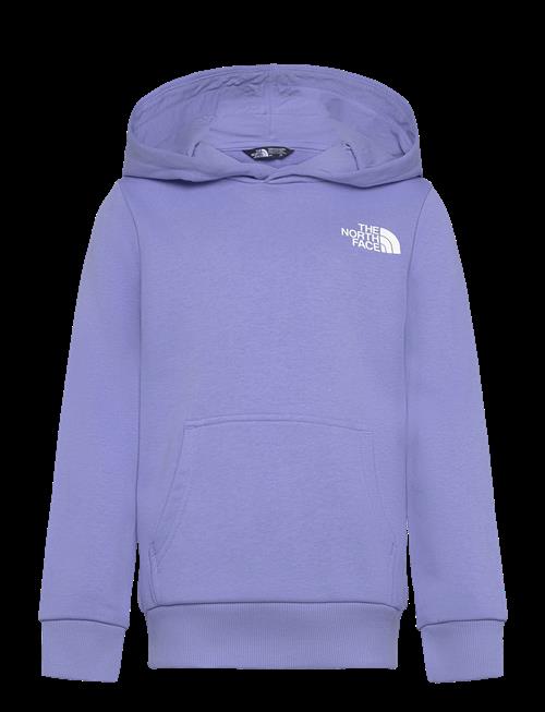 The North Face | Teen Simple Dome Light Reg Hoodie | 130-141