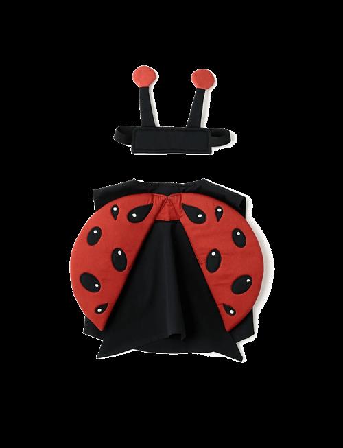 Kid's Concept | Ladybug  Dress-Up | ONE SIZE