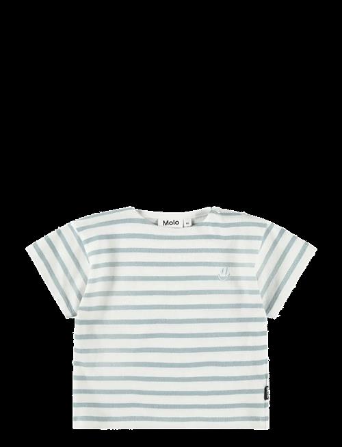 Molo | Eivor | 68