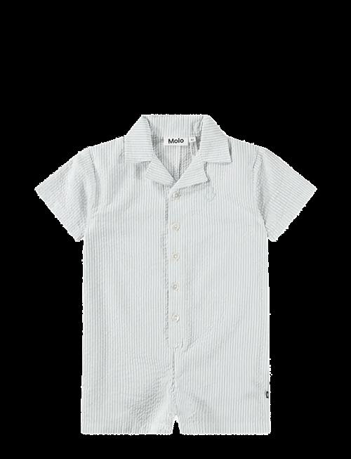 Molo | Falk | 74
