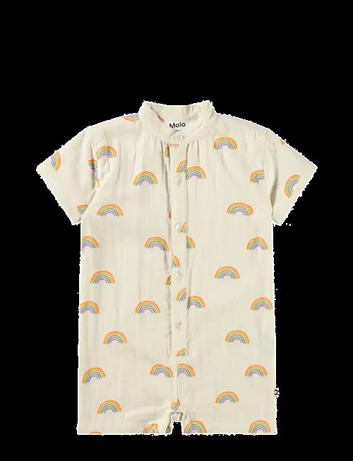 Molo | Falkone | 68