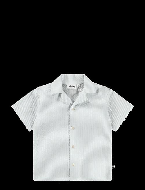 Molo | Eyou | 86