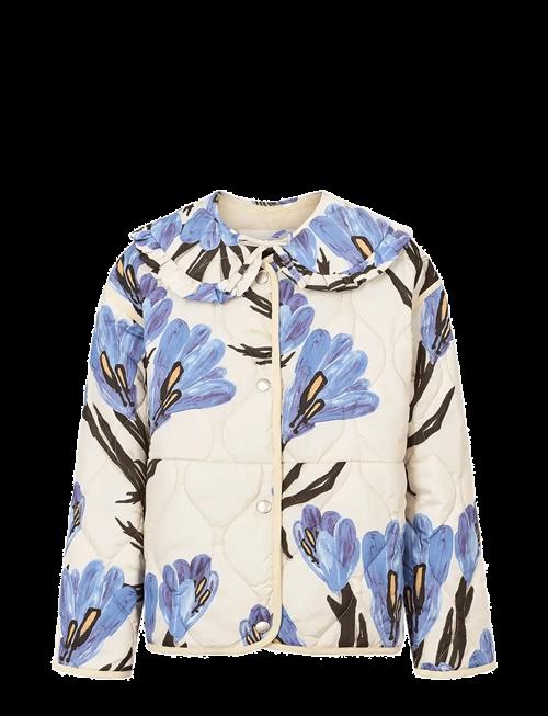 Molo | Hailey | 98
