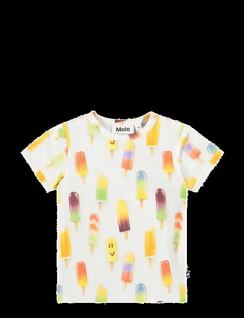 Molo | Easy | 80