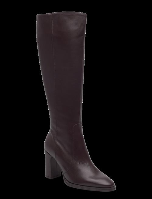 Wonders | Treze 50 | 42