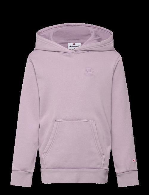 Champion | Hooded Sweatshirt | 174-179