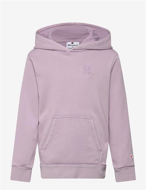 Champion | Hooded Sweatshirt | 176