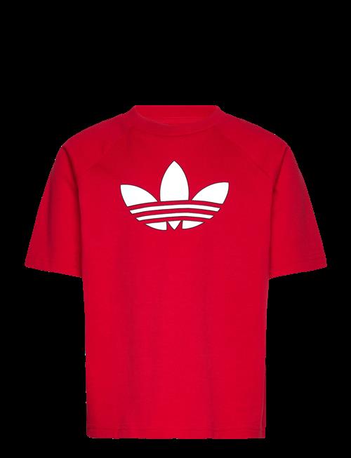 adidas Originals | Gfx Tr Lo Tee | 152