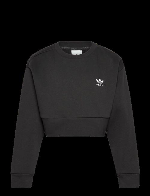 adidas Originals | Boxy Crew | 128