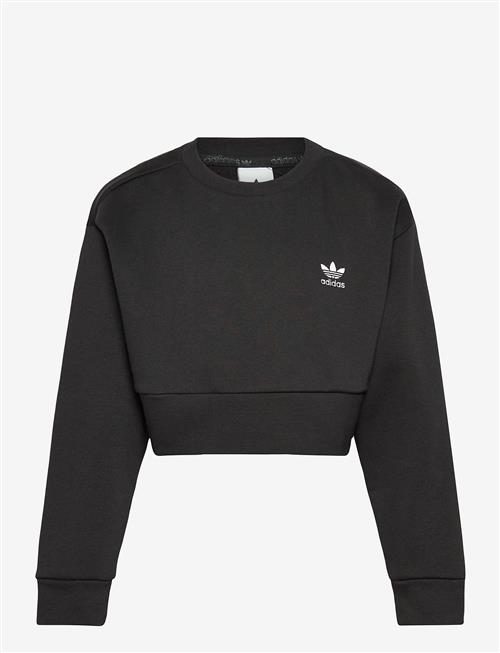 adidas Originals | Boxy Crew | 164