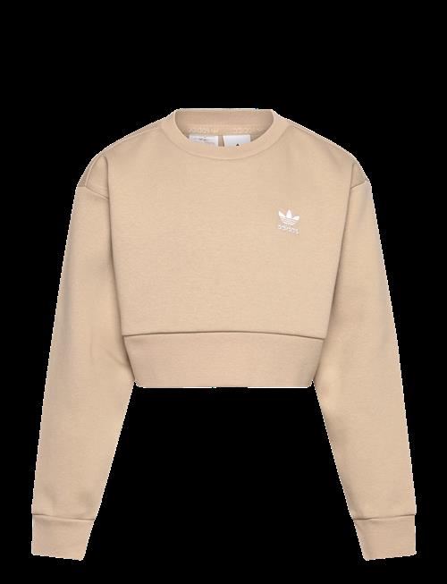 adidas Originals | Boxy Crew | 152