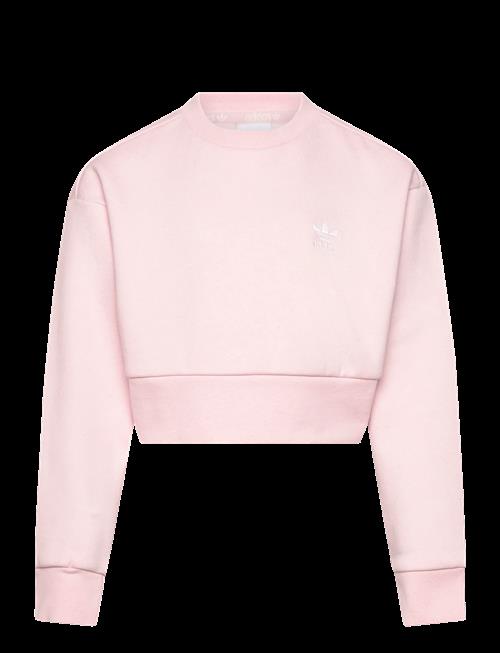 adidas Originals | Boxy Crew | 170