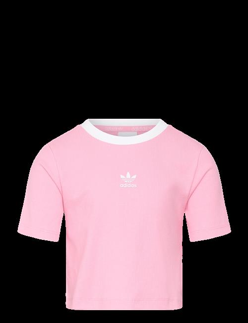 adidas Originals | Tight  T-Shirt | 170