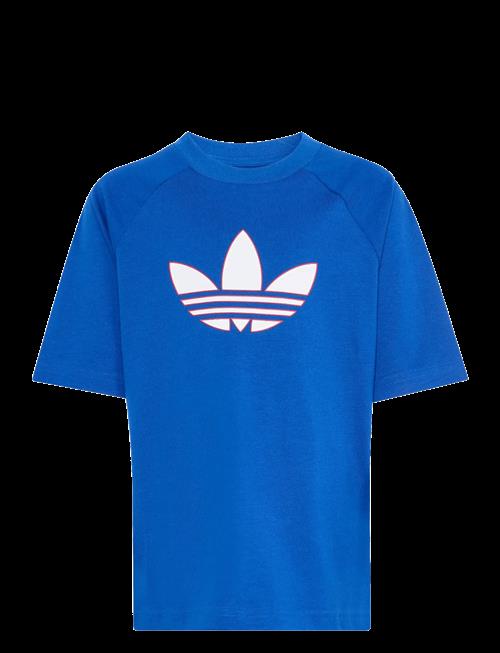 adidas Originals | Gfx Tr Lo Tee | 116