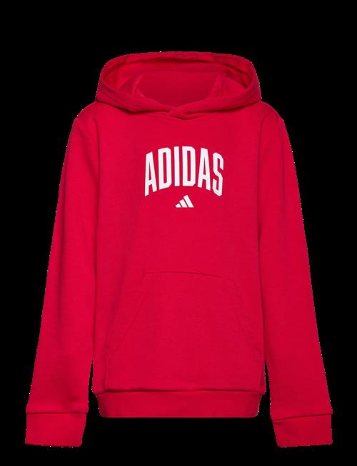 adidas Sportswear | J Colleg Hd | 128