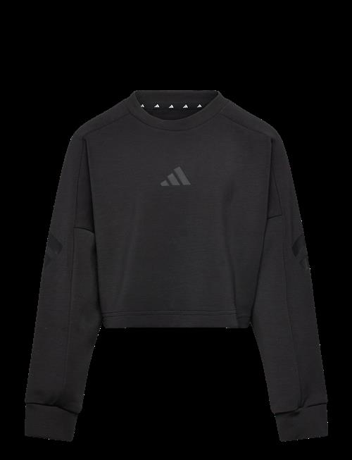 adidas Sportswear | Jg Fi 3S Crew | 152