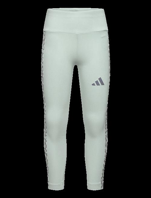 adidas Sportswear | Jg An 3S Leg | 170