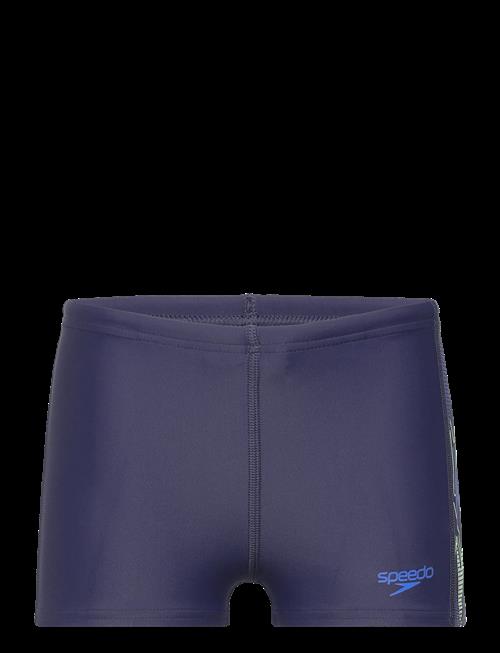 Speedo | Placement Aquashort | 164