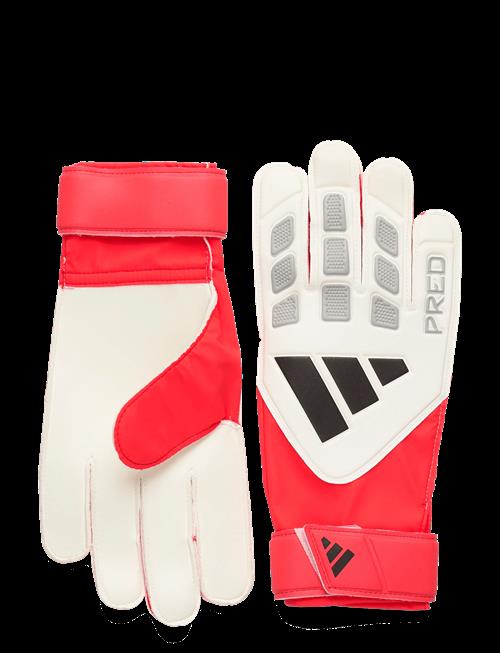 adidas Performance | Pred Gl Trn | 9