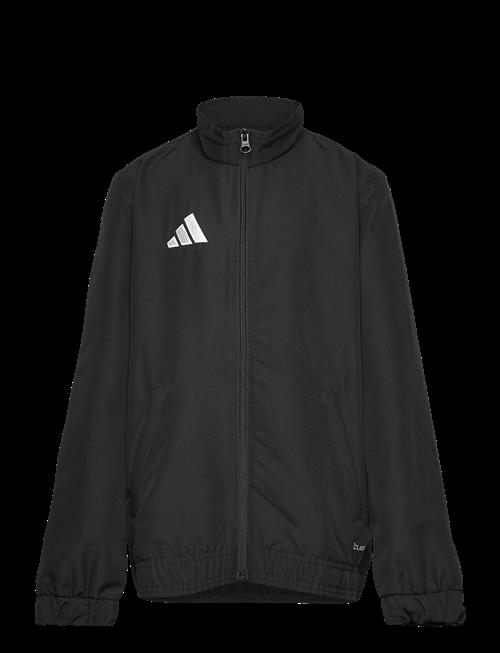 adidas Performance | Ent26 Prejkty | 104