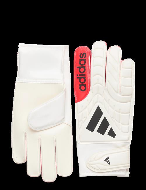 adidas Performance | Copa Gl Clb | 8.5