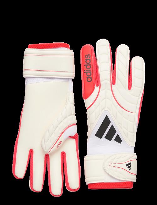 adidas Performance | Copa Gl Lge | 10.5