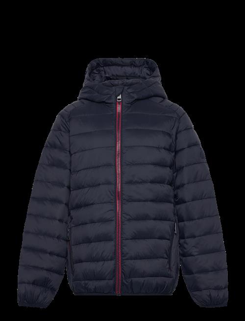 Jack & Jones | Jjebradley Light Puffer Hood Jnr | 176
