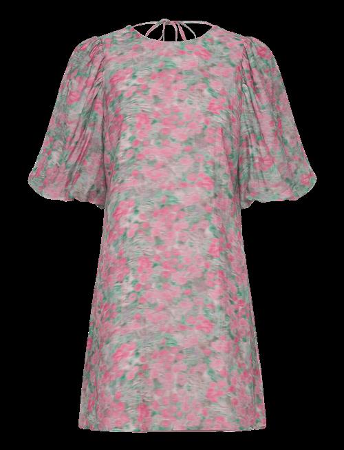 Noella | Pastis Short Dress | XXL