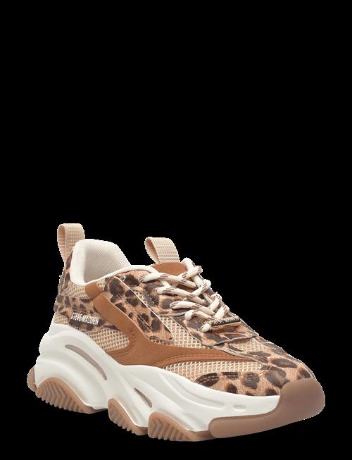 Steve Madden | Possession-E | 37