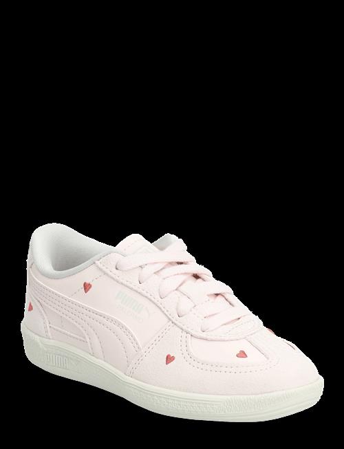 PUMA | Palermo Amor Ps | 33