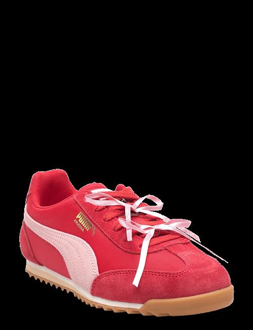 PUMA | Arizona Bow Wns | 37.5