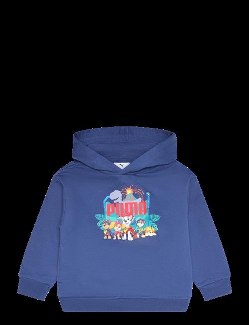 PUMA | Puma X Paw Patrol Graphic Hoodie Tr | 116