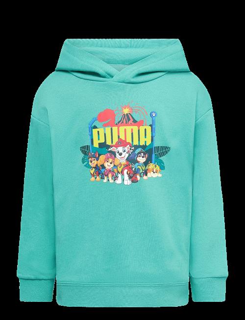 PUMA | Puma X Paw Patrol Graphic Hoodie Tr | 110