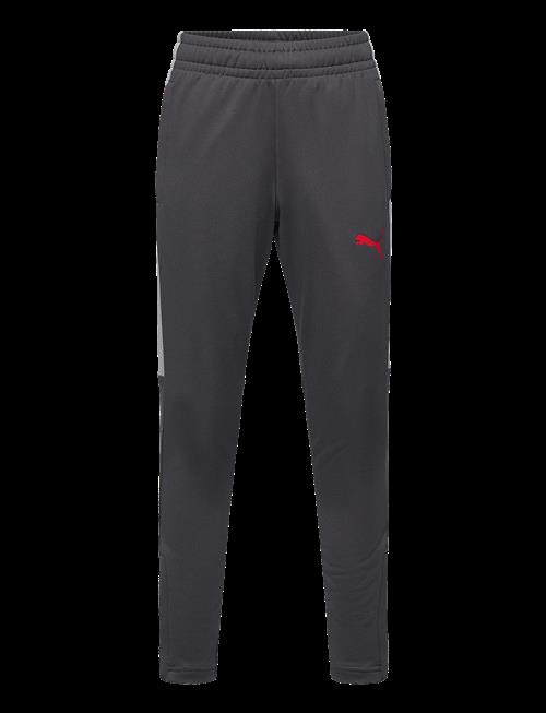 PUMA | Individualliga Training Pants Jr | 176