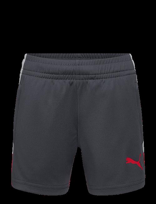 PUMA | Individualliga Training Shorts Jr | 164