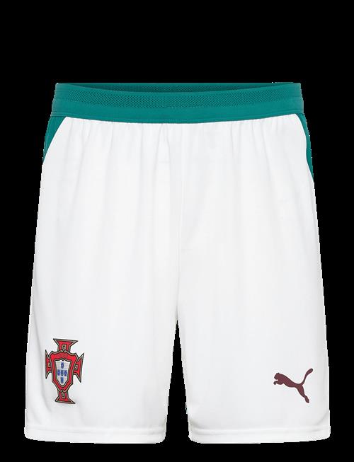 PUMA | Fpf Shorts Replica | L
