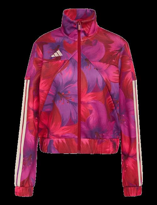 adidas Sportswear | Farm Tiro Tt | XXS