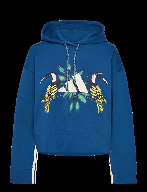 adidas Sportswear | Farm Hoodie | L