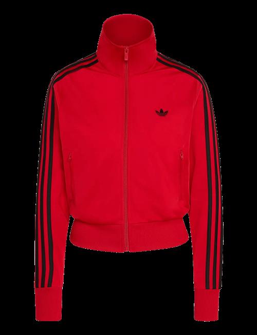 adidas Originals | Firebird Classic Tt_ | XL